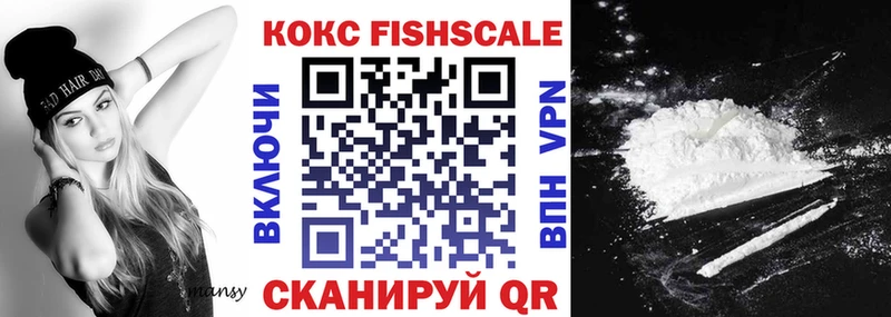 Кокаин Fish Scale  Купить закладки  Гудермес 