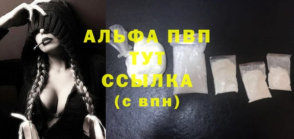 стафф Касимов