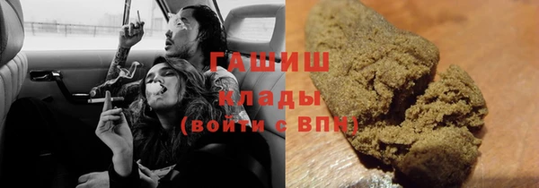 стафф Касимов