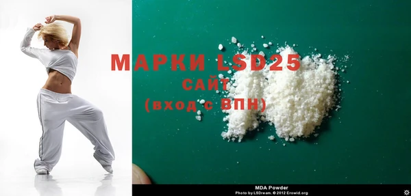 стафф Касимов