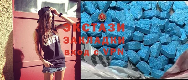 стафф Касимов