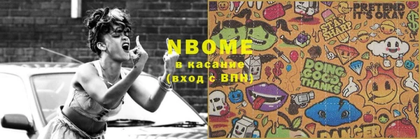 стафф Касимов