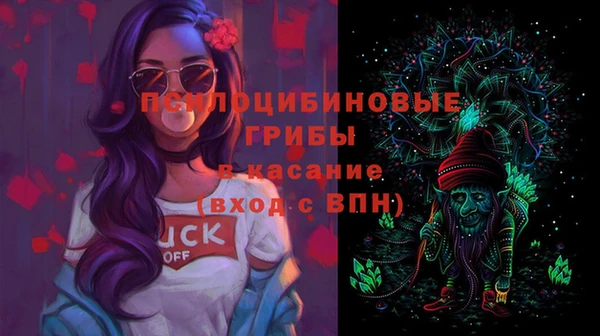 стафф Касимов