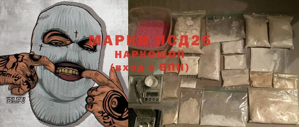 стафф Касимов