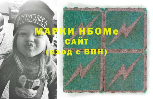 стафф Касимов