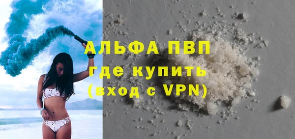 стафф Касимов