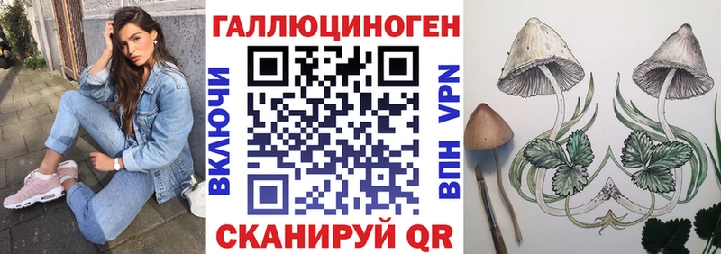 Купить закладки  Гудермес  Галлюциногенные грибы Psilocybine cubensis 